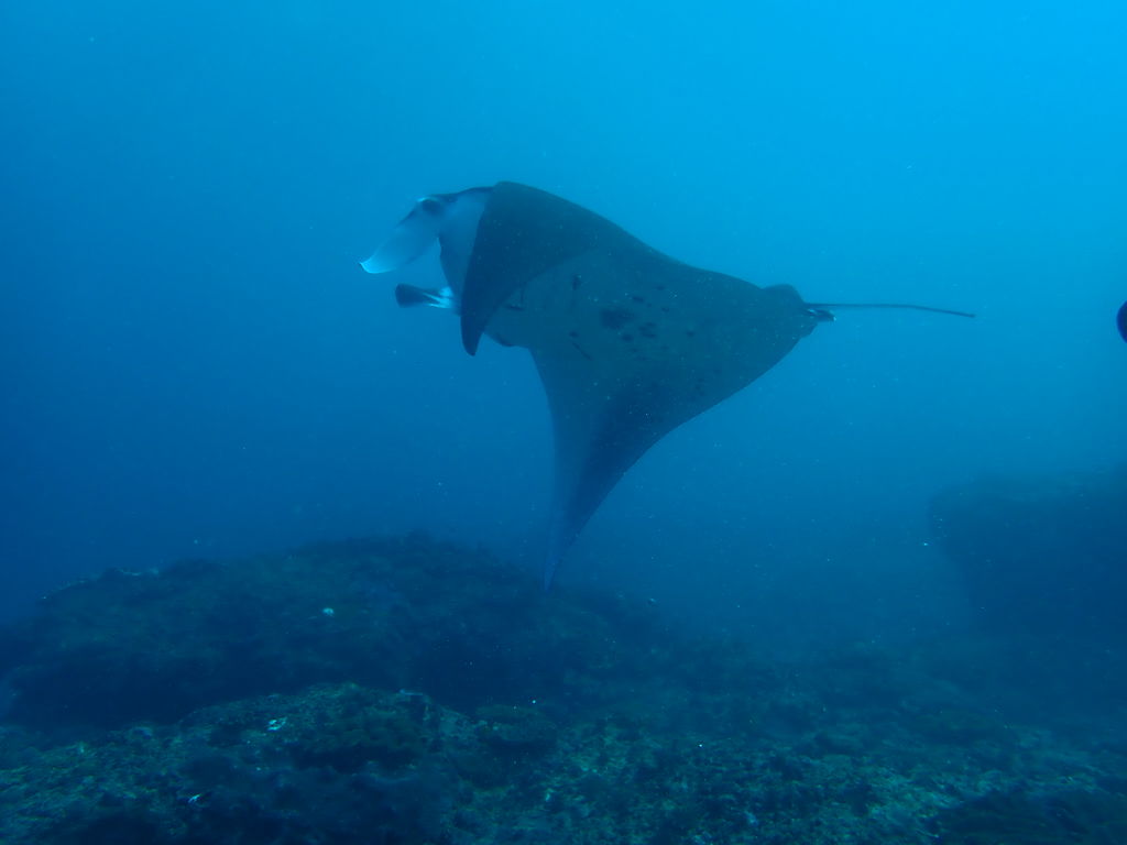 54a78869-a6d1-4f00-a7be-ac13671c9397