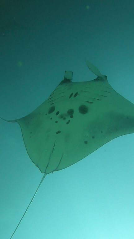 2a4ad653-953f-4945-964b-d7f1ba25e96f