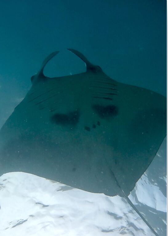 0c5e9620-a449-48a0-a892-5063d9be0f2c