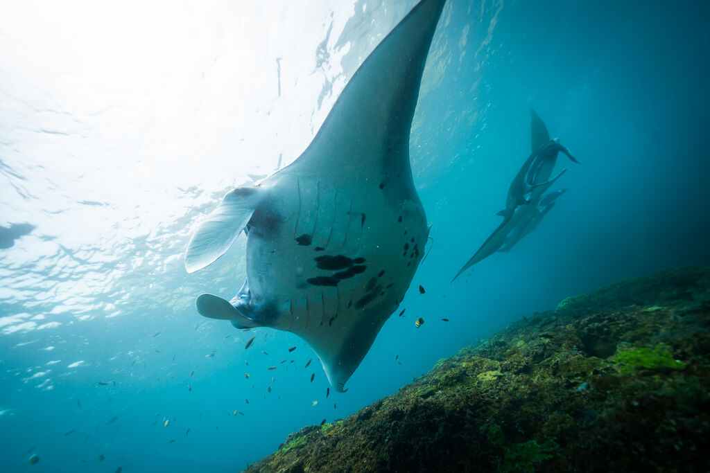 f9f88882-ca81-4b54-be32-e9f2de9a43f7