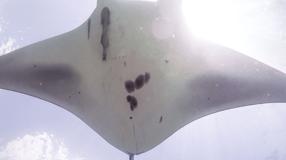 36818608-c8b5-4467-a419-dd59f01cd653