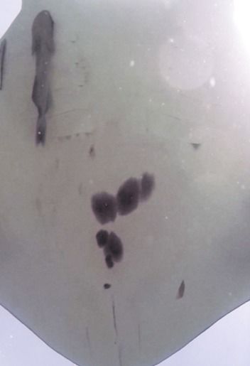 36818608-c8b5-4467-a419-dd59f01cd653