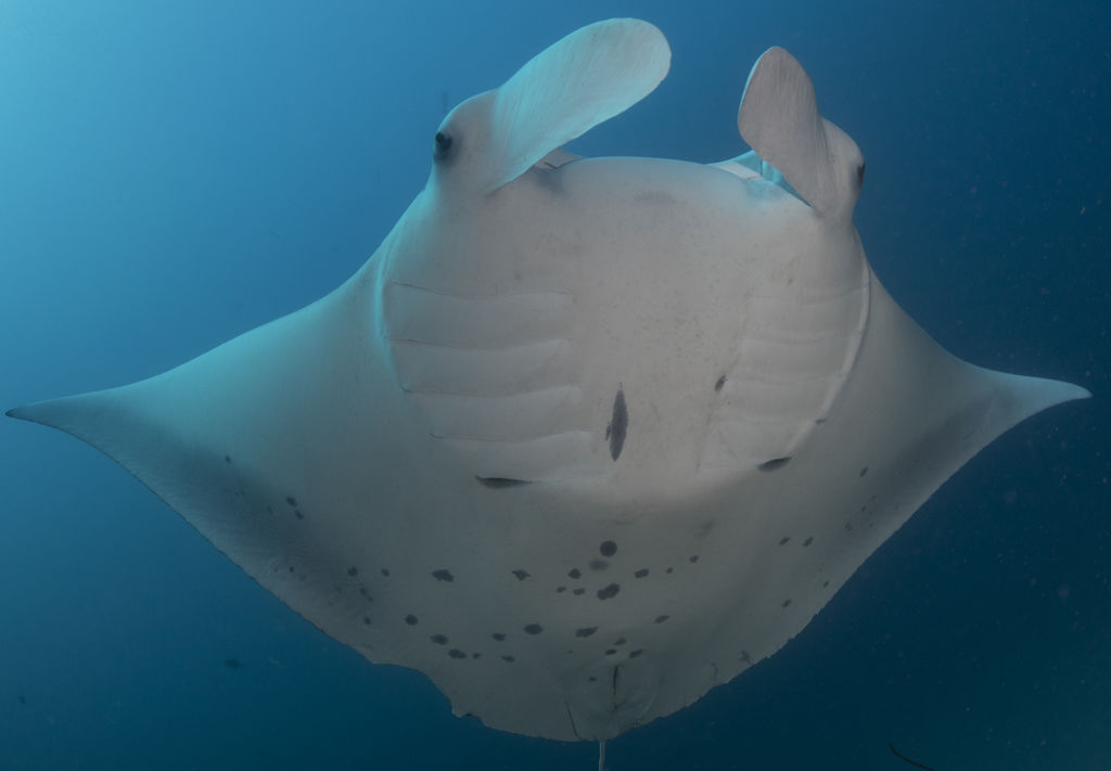 e3cfc5a7-fd7b-4143-8e82-dd12eebc2827