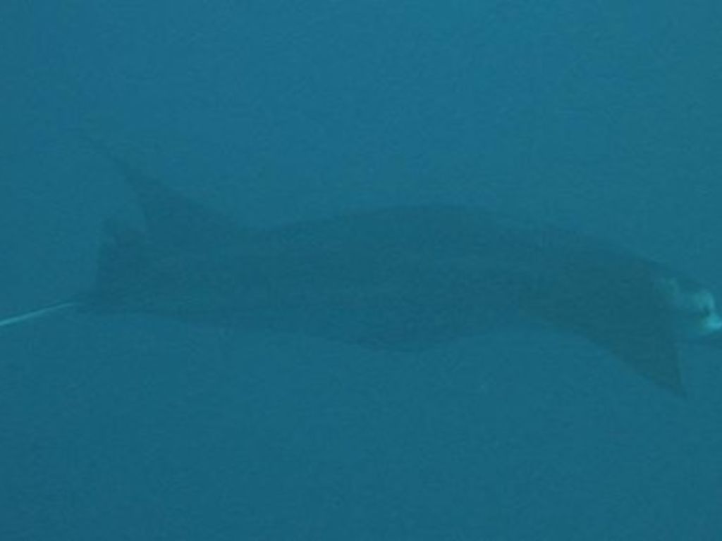 8f545e26-6835-4876-a329-4870dfada460