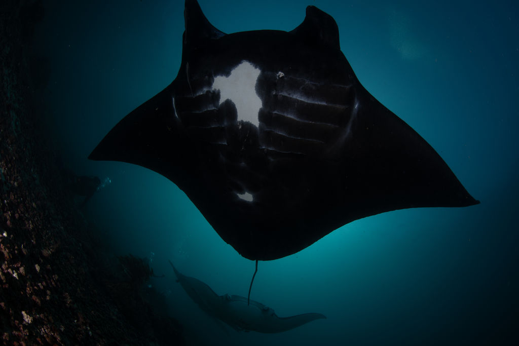 cf38d406-2c51-427e-8af2-899dc406de04