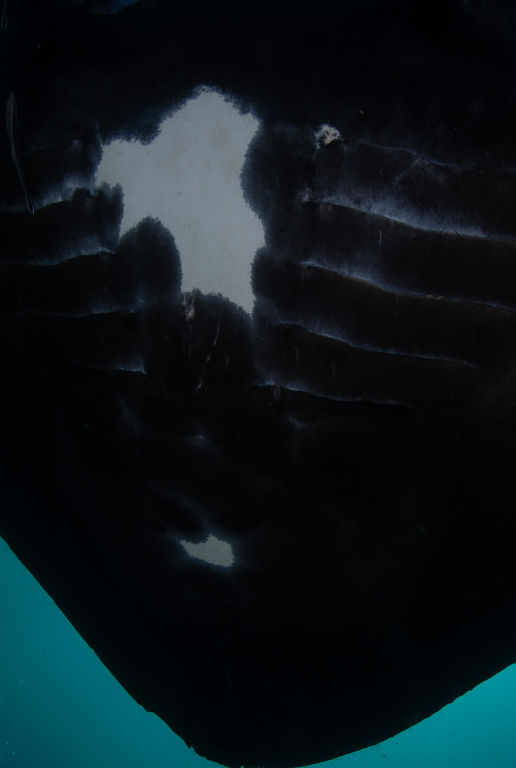 cf38d406-2c51-427e-8af2-899dc406de04