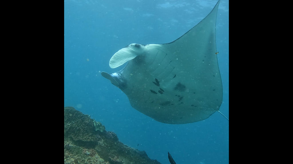 ac6a9db6-243d-4b59-a60d-3abe3f43a363