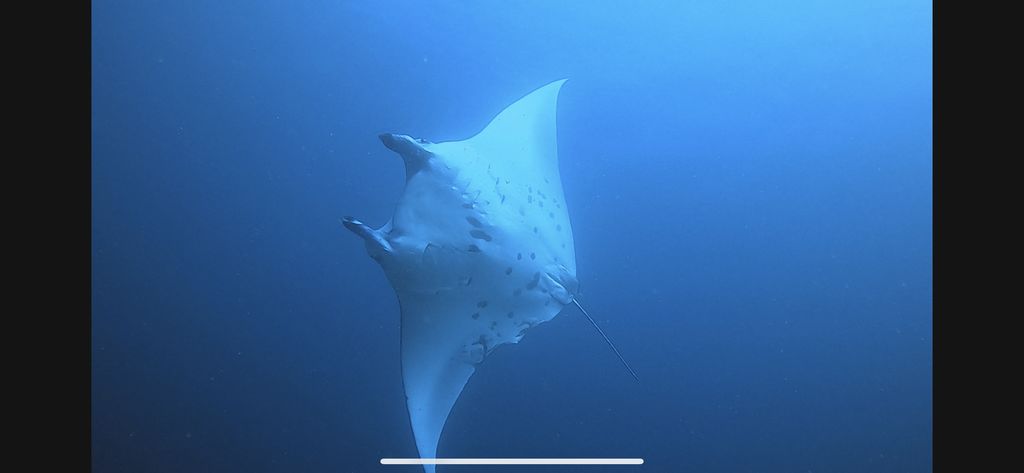 3dee0184-5361-494c-8e2d-9106bdf30ed8