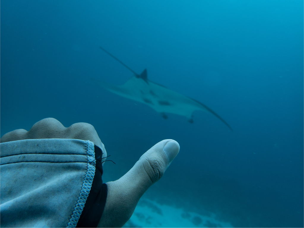 184aa254-3dbd-472b-80f1-ec644ec436fa