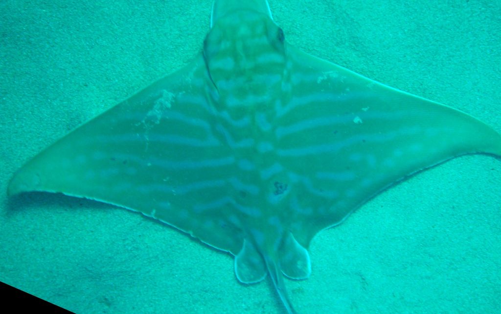 0083e962-196d-40d4-8ed2-b10d6ebefb87