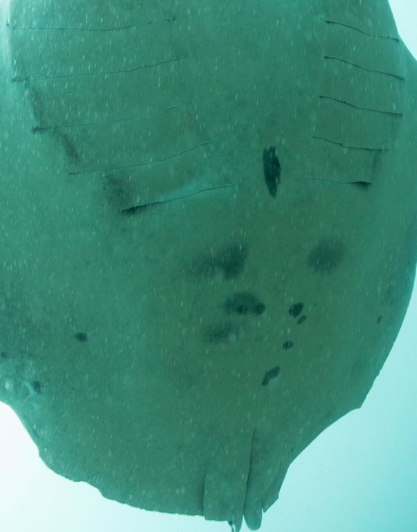 0019d396-1990-414e-ba32-99c29fff864b