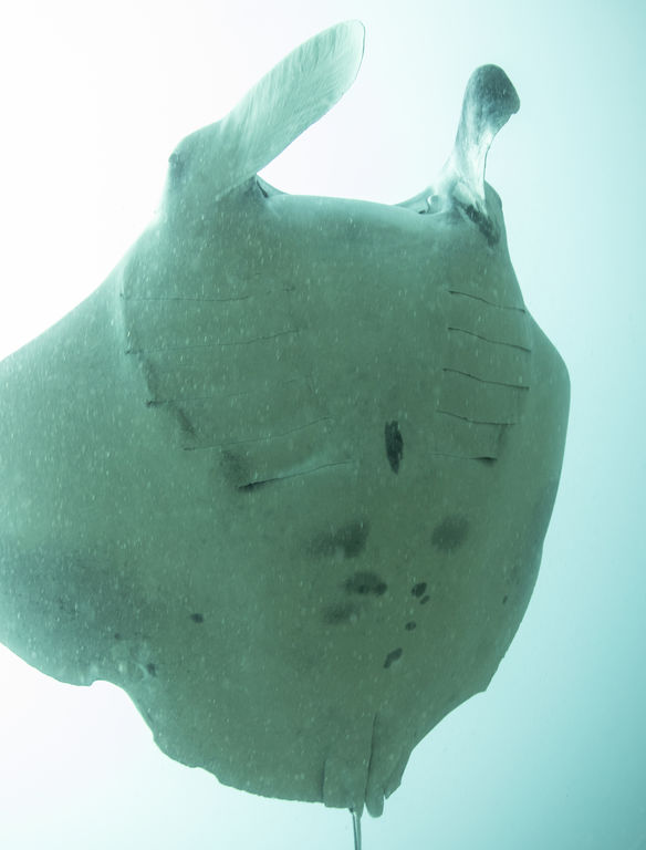 0019d396-1990-414e-ba32-99c29fff864b