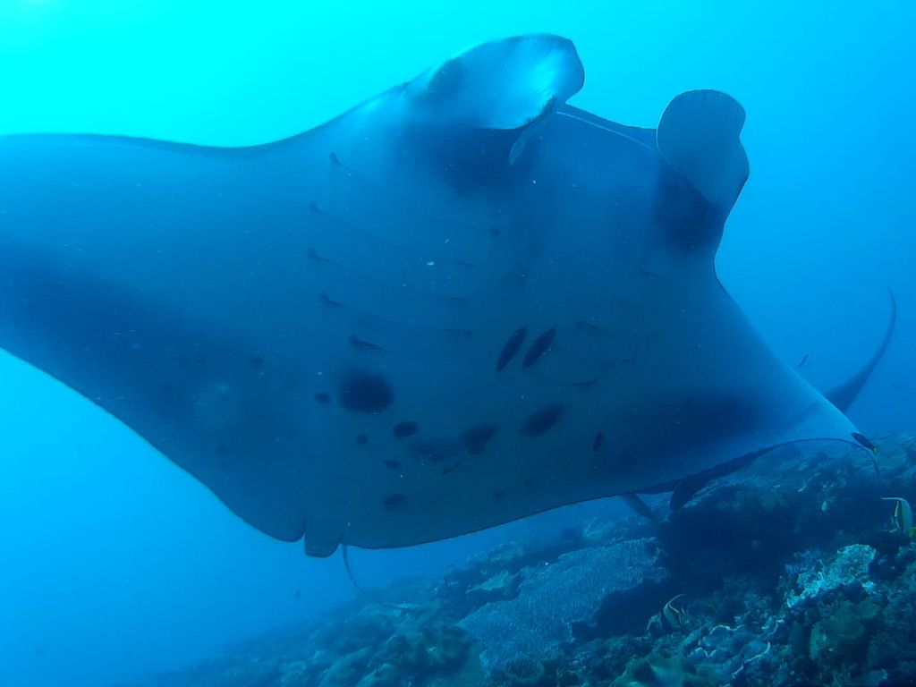 2a4ad653-953f-4945-964b-d7f1ba25e96f