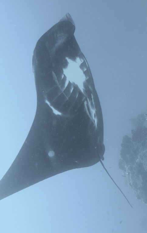 55ac8023-9fec-42ac-a1d7-f6ef9b255874