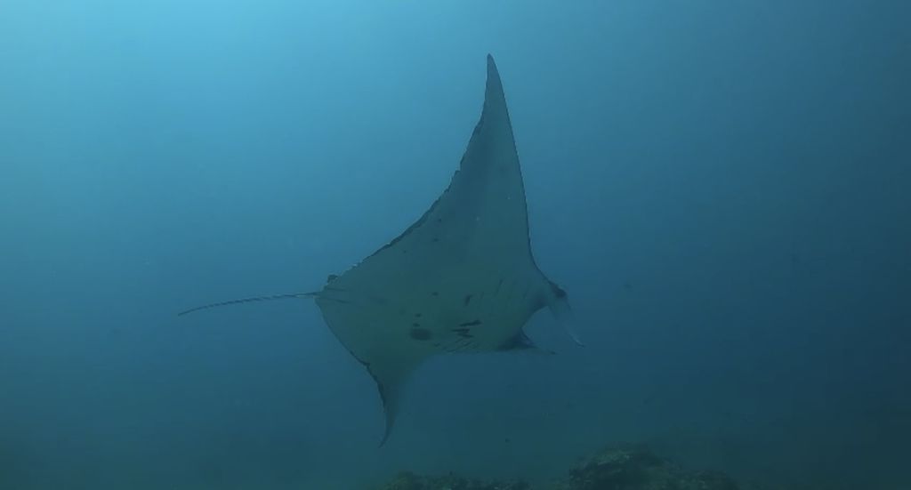 9336c470-b0f1-46a6-a9c8-08397892b925