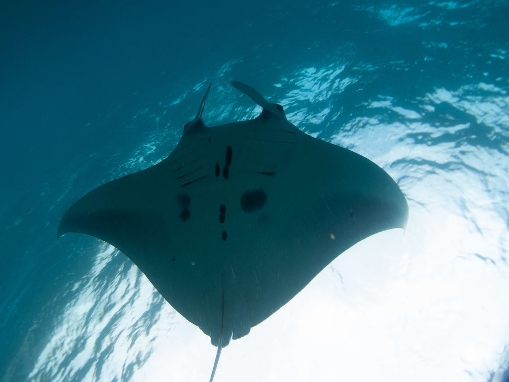 b54dac66-bf52-4763-8241-3790086fd06f