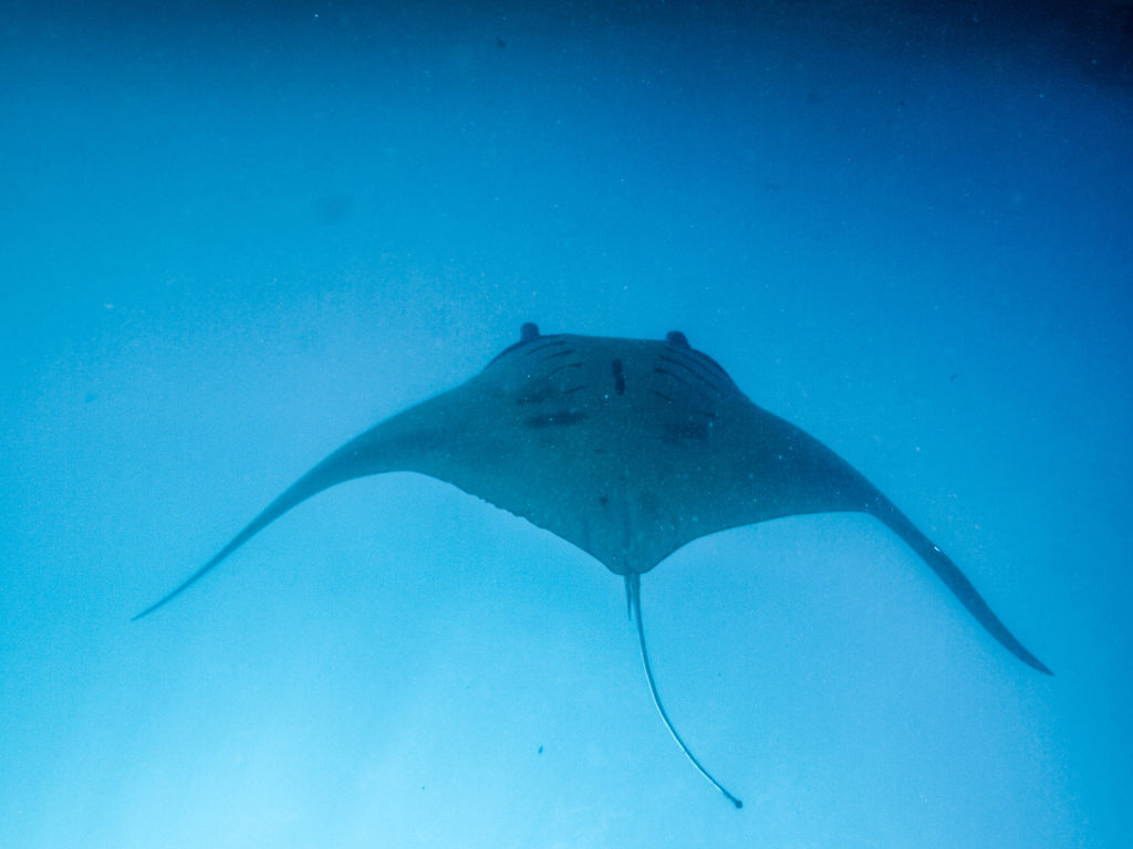 9709459a-d3de-4ab9-825f-c08ae55c961c