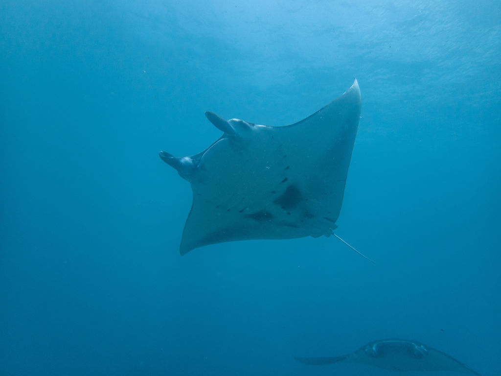 184aa254-3dbd-472b-80f1-ec644ec436fa