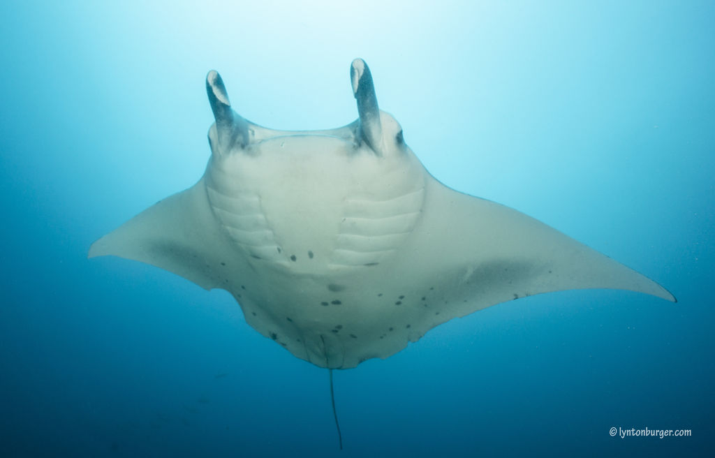 c9c24277-2f06-42b6-b5d3-f76c097c7df8