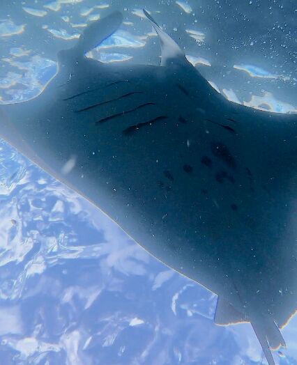 54a78869-a6d1-4f00-a7be-ac13671c9397