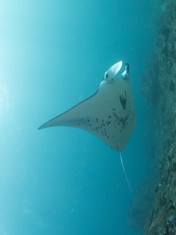 b8d909b5-0d94-48fc-b035-bd667bb92653