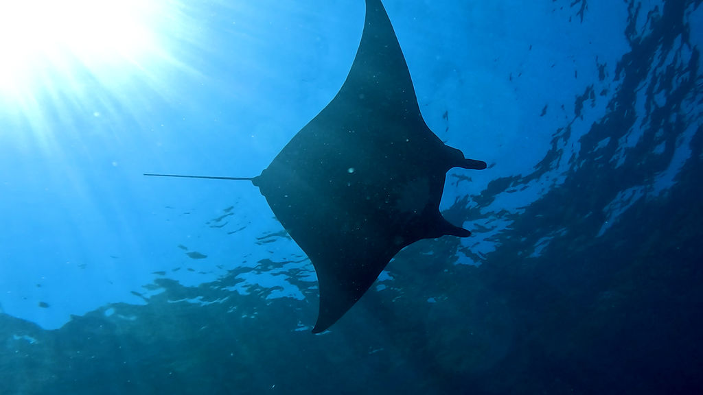 91242716-0514-409b-930c-15dd0ee9c932