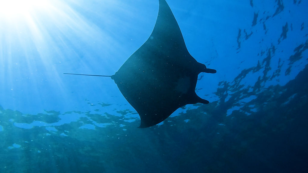 91242716-0514-409b-930c-15dd0ee9c932