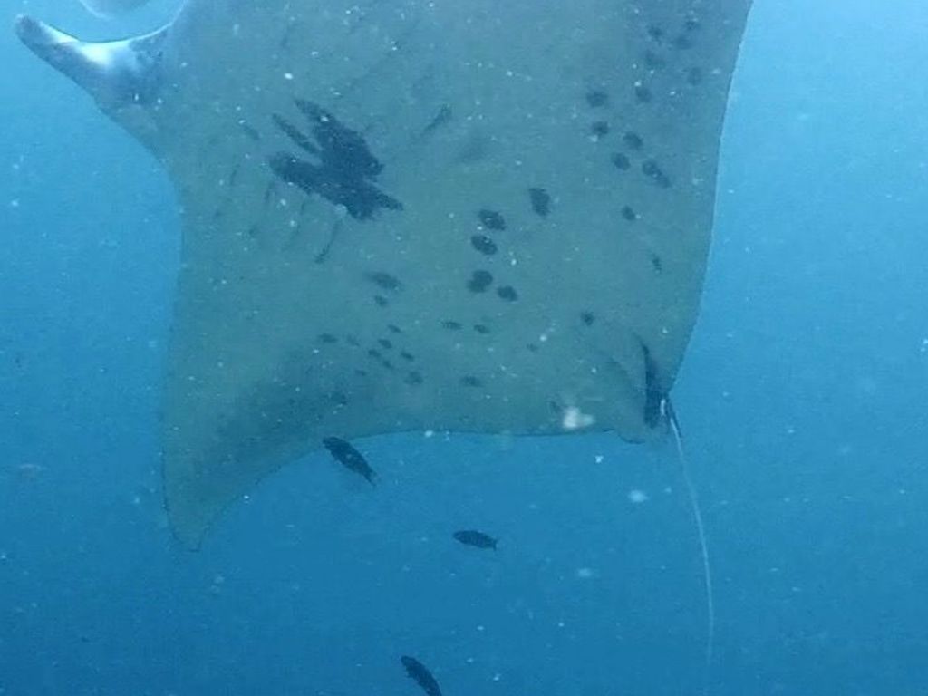 71810435-45ba-48de-8b55-abc097d317d0