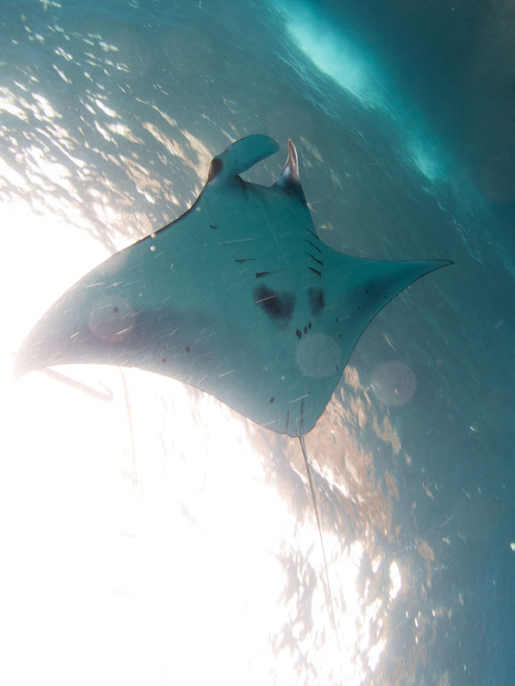 0c5e9620-a449-48a0-a892-5063d9be0f2c