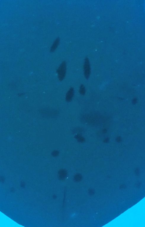 a39402c1-22e6-4ec2-8976-3995848e5439