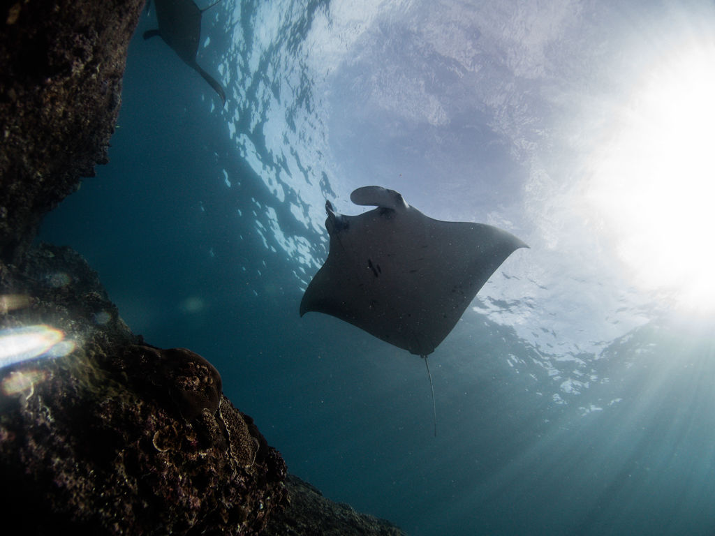 b4c3275c-51ce-4027-9d8c-fa3a9284da53