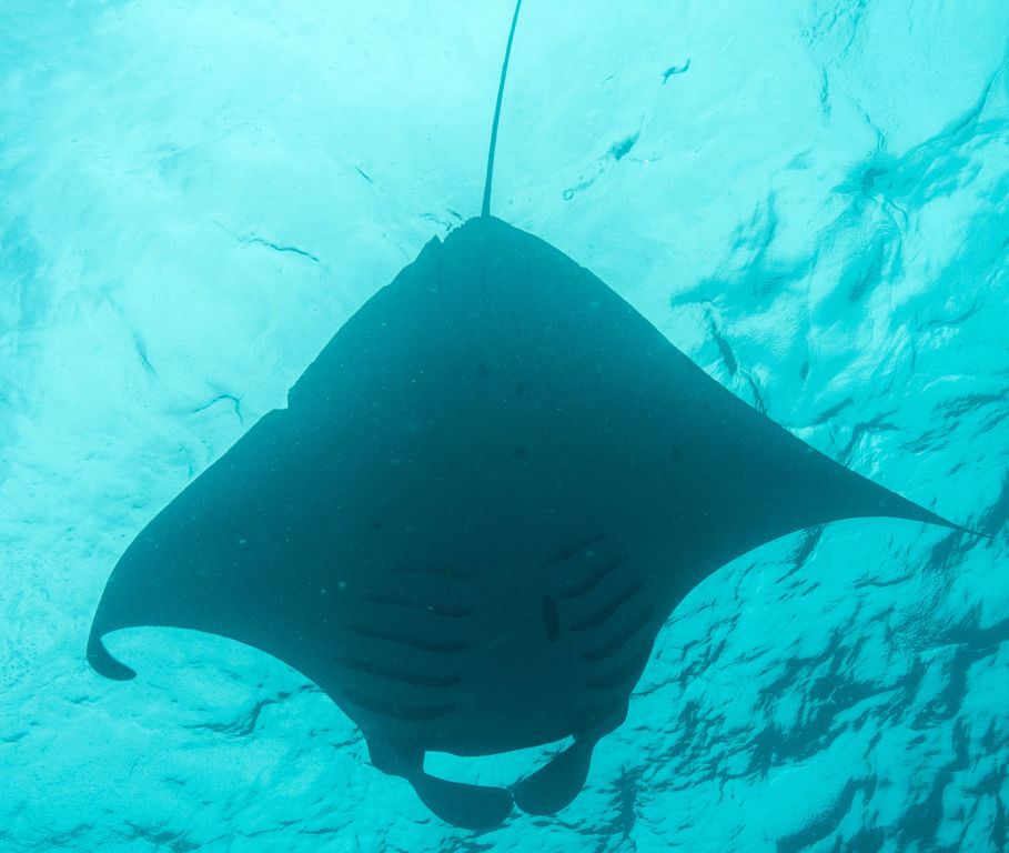 4f0ced2e-94ff-4668-a566-c32cc52f0afc