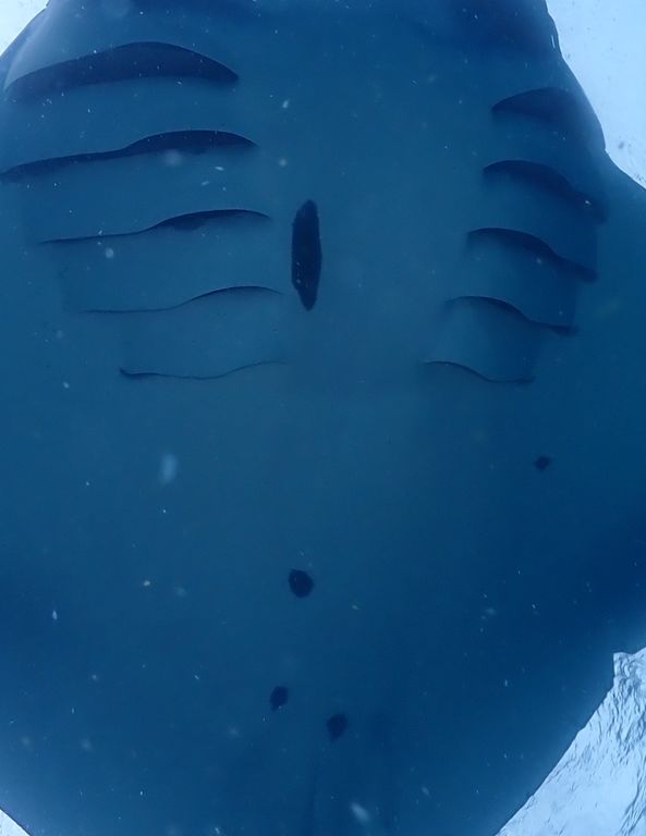 4f0ced2e-94ff-4668-a566-c32cc52f0afc