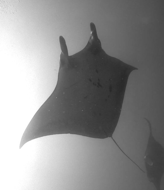 7434e197-bc1b-4f4f-81f5-7c2594032a8e