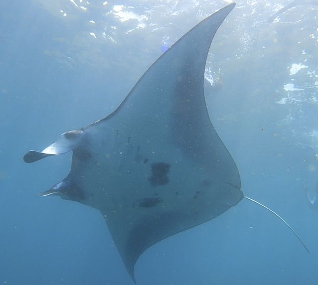 92a1070d-5337-4606-a961-bcca4d623c5b