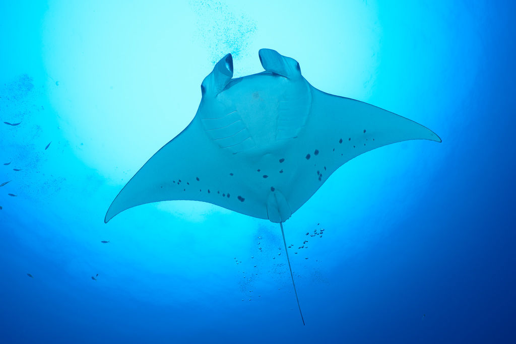 91ca42ed-4d2b-4aa7-92ca-a4c5b2392597