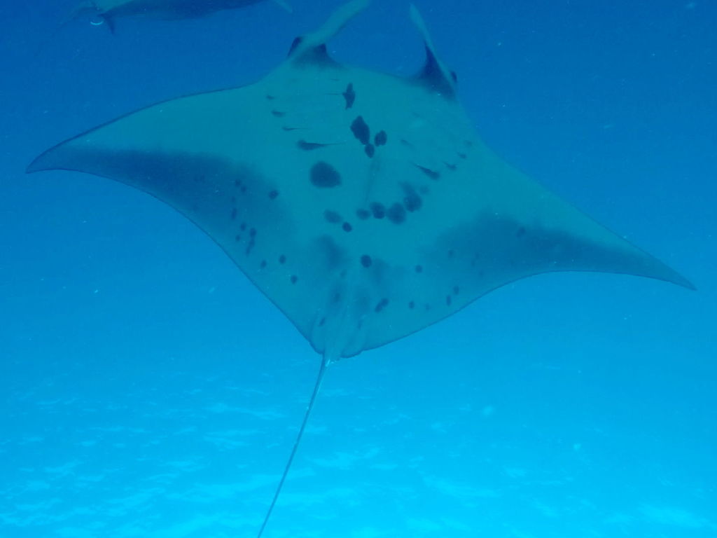 001fccf5-49a8-4e6d-ba1a-6f890e38c6ca