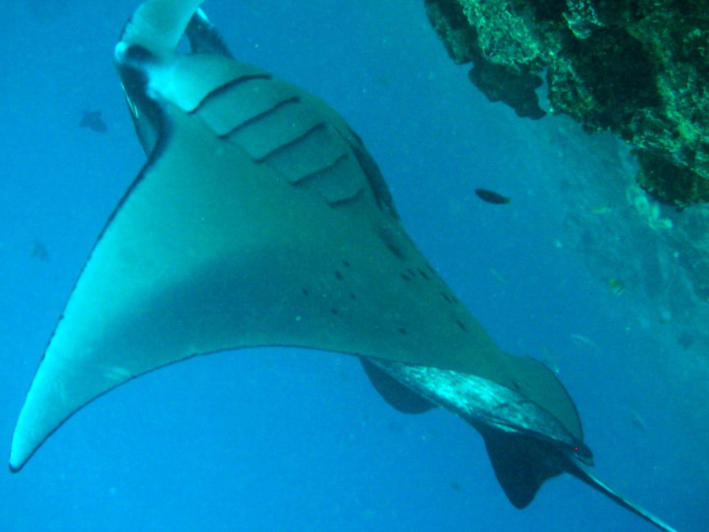 73a09a0a-bdc8-40c1-85fd-c43ce5bc2f49