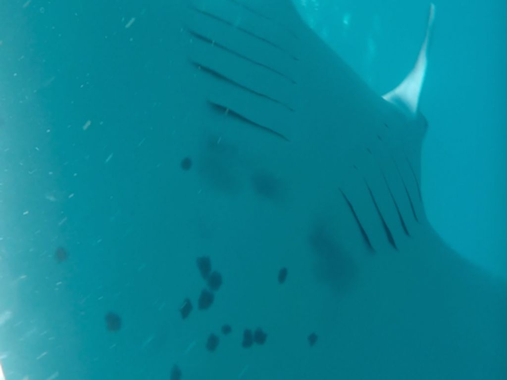 ae6550f4-5db9-40ef-9d50-871d2e3d7bd6