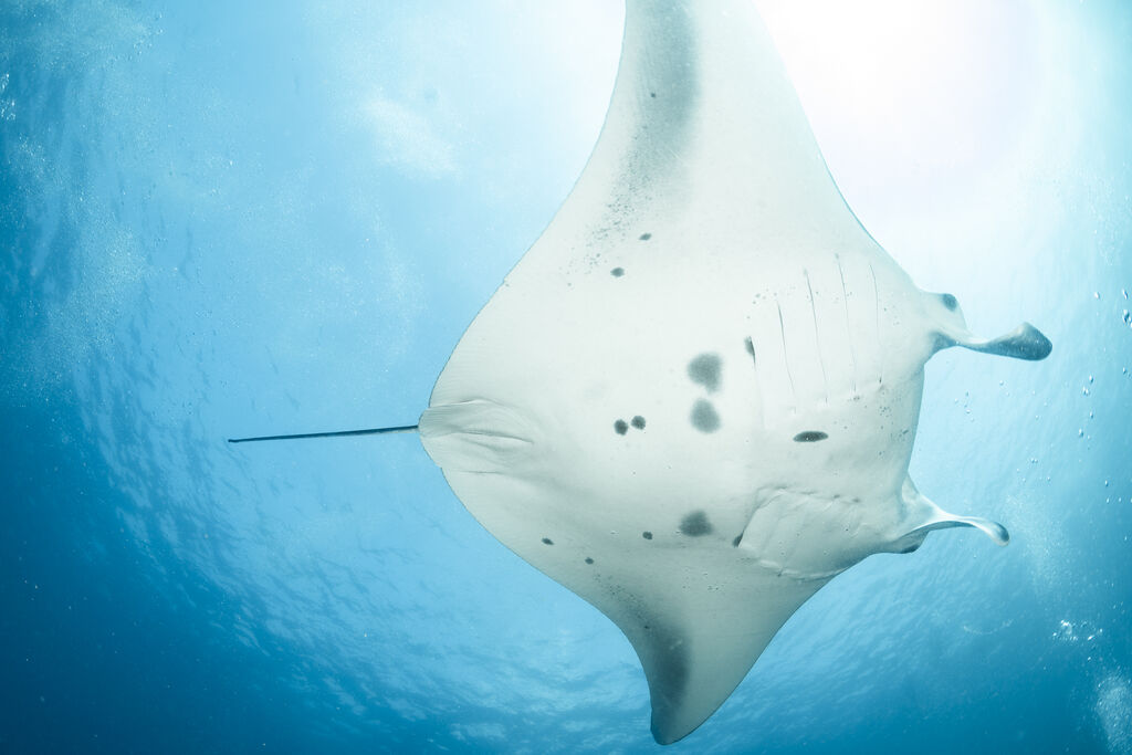 d69be447-c84f-49ea-bab3-674d974d50d6