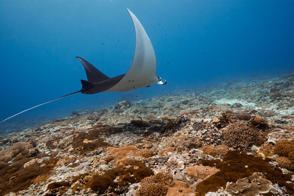 4a0ee0f2-bda8-44ae-900f-84026bad7c86