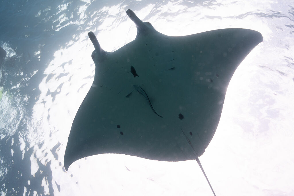 4a0ee0f2-bda8-44ae-900f-84026bad7c86