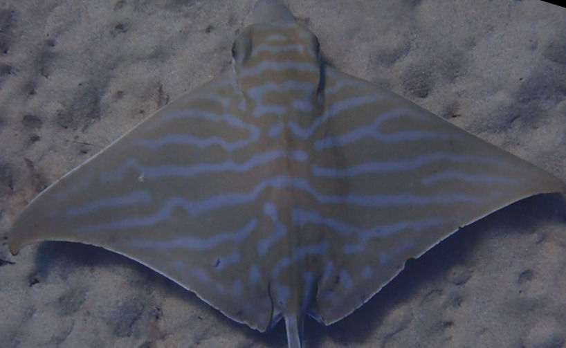 464d2ec4-f92d-4b1c-9f3a-d145ab5908ee