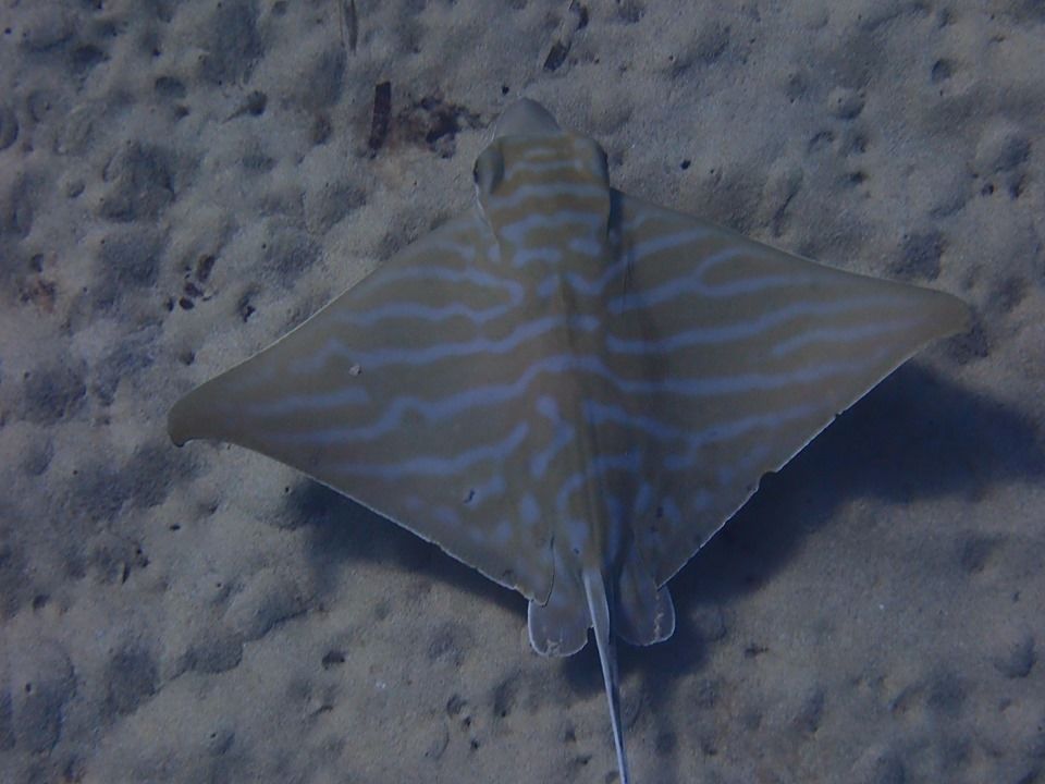 464d2ec4-f92d-4b1c-9f3a-d145ab5908ee