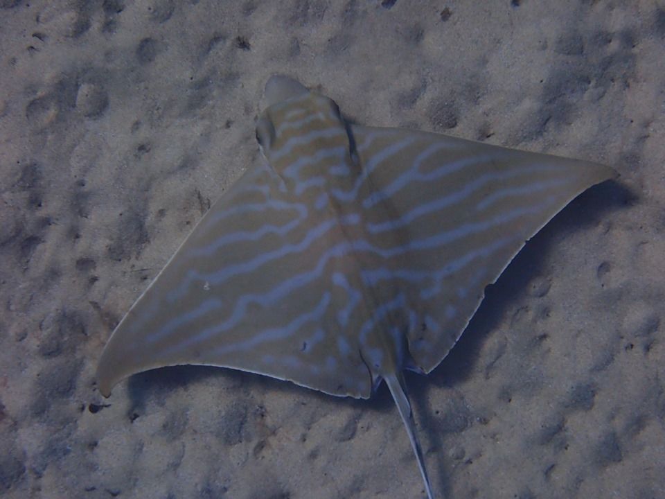 464d2ec4-f92d-4b1c-9f3a-d145ab5908ee