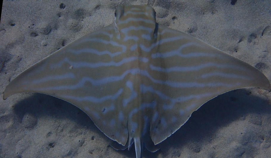 464d2ec4-f92d-4b1c-9f3a-d145ab5908ee