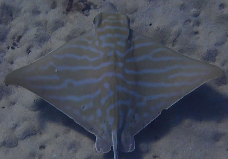 464d2ec4-f92d-4b1c-9f3a-d145ab5908ee