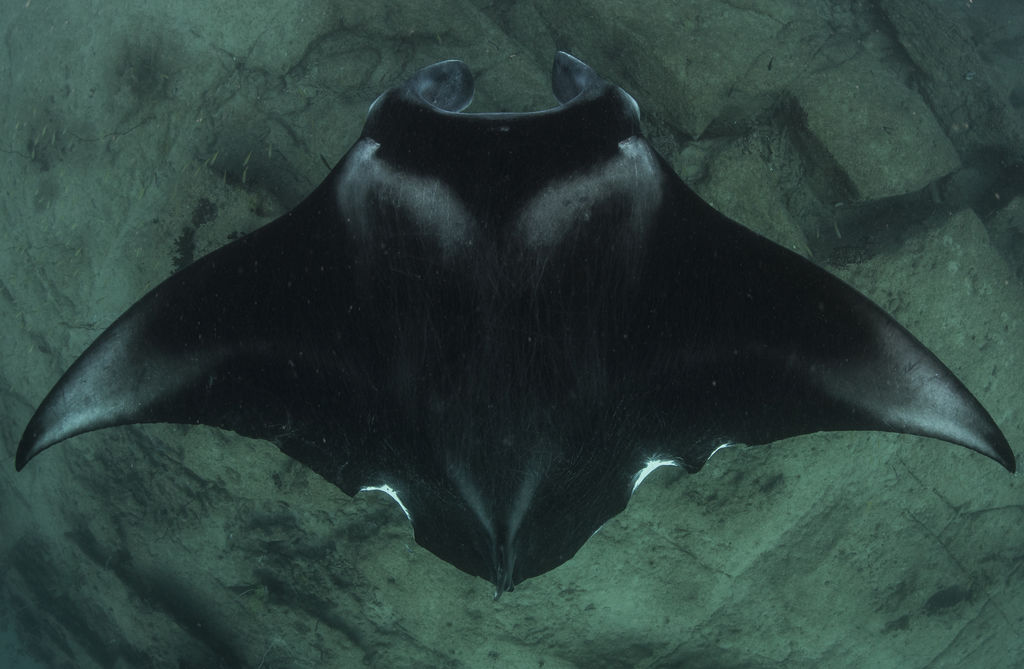 f9f51c91-205e-4d1d-b4c8-8e01616a81ae