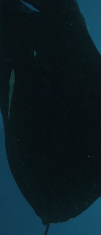 8322fc22-7577-439b-8544-294da5dda65a