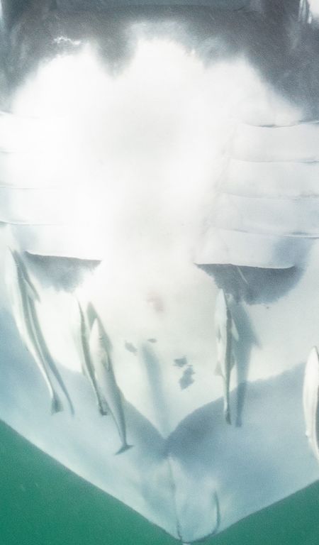 4adb9942-a031-43e6-9a57-fe16cb24a9d7